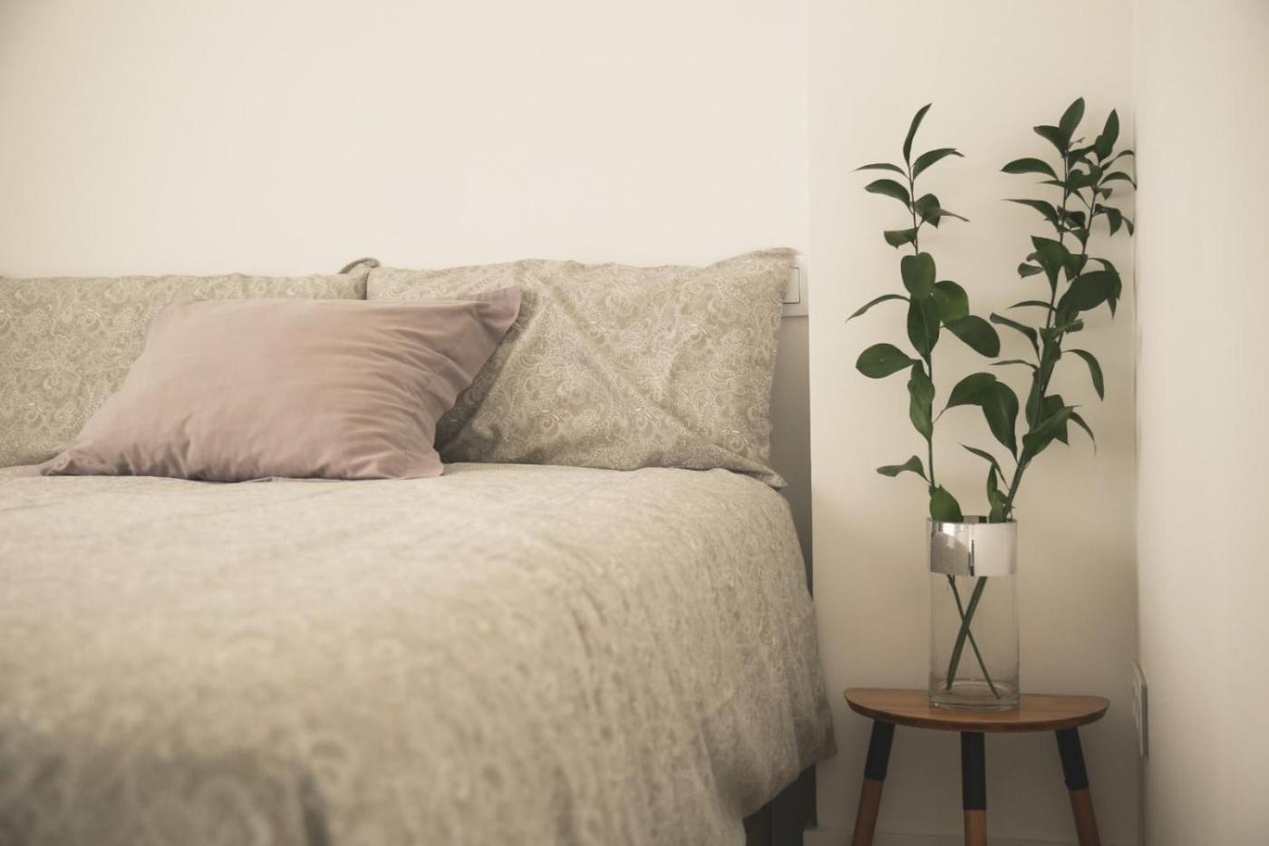 Romantico Apartamento En El Centro 桑坦德 外观 照片